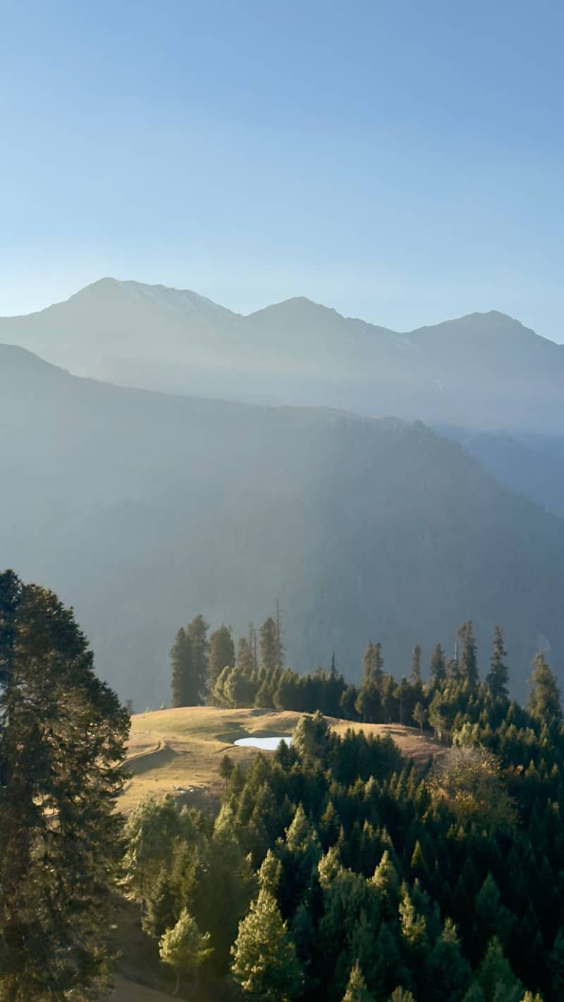 Daksum — dense forest and mountain streams