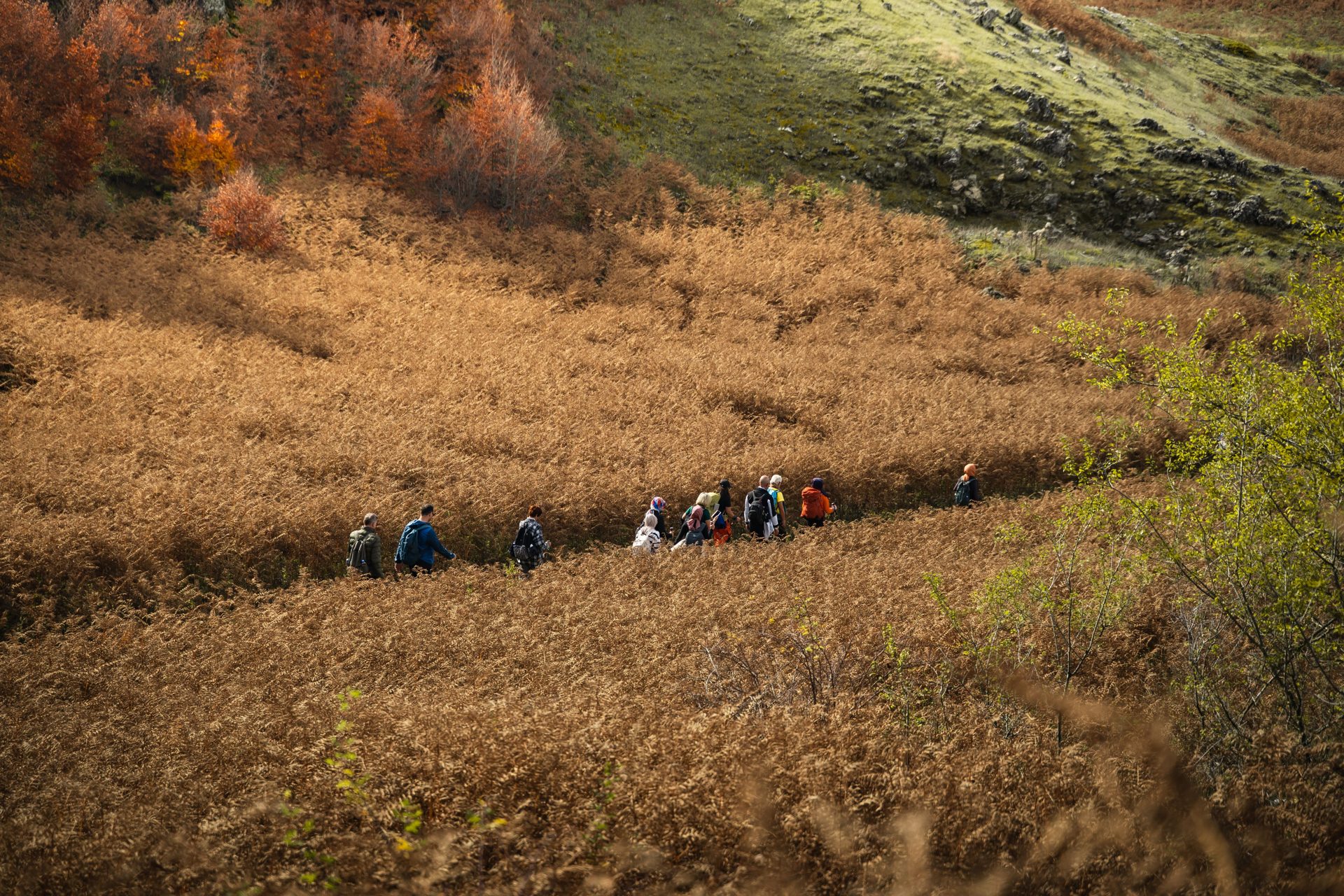 Kashmir Great Lakes Trek
